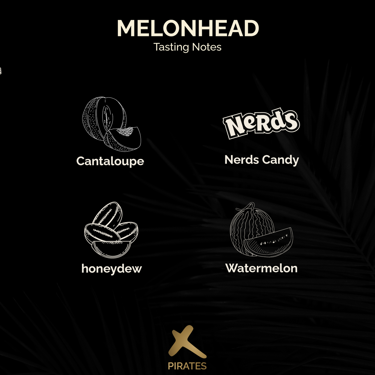 MELONHEAD: Colombia Nitro Fermentation
