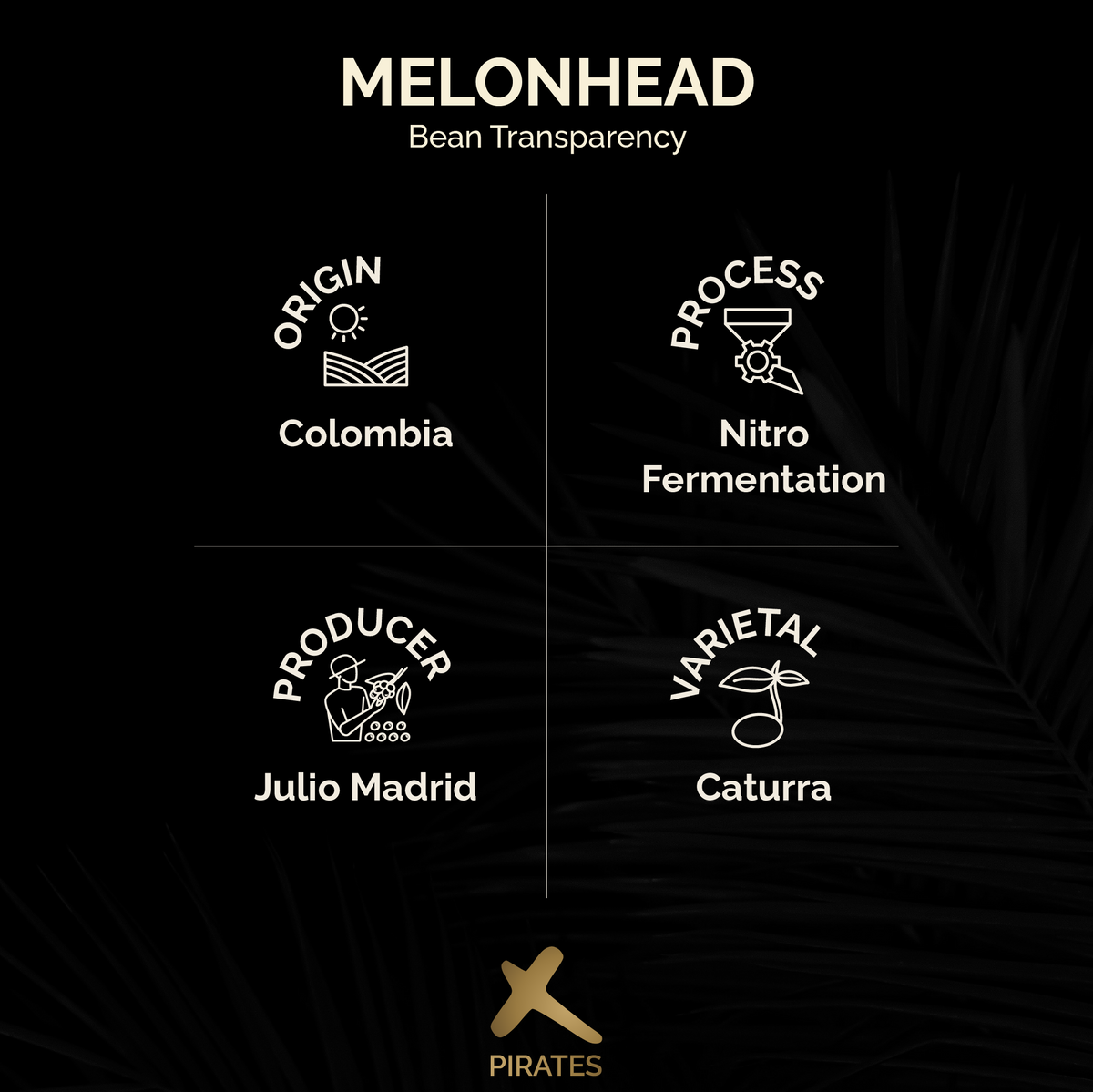 MELONHEAD: Colombia Nitro Fermentation