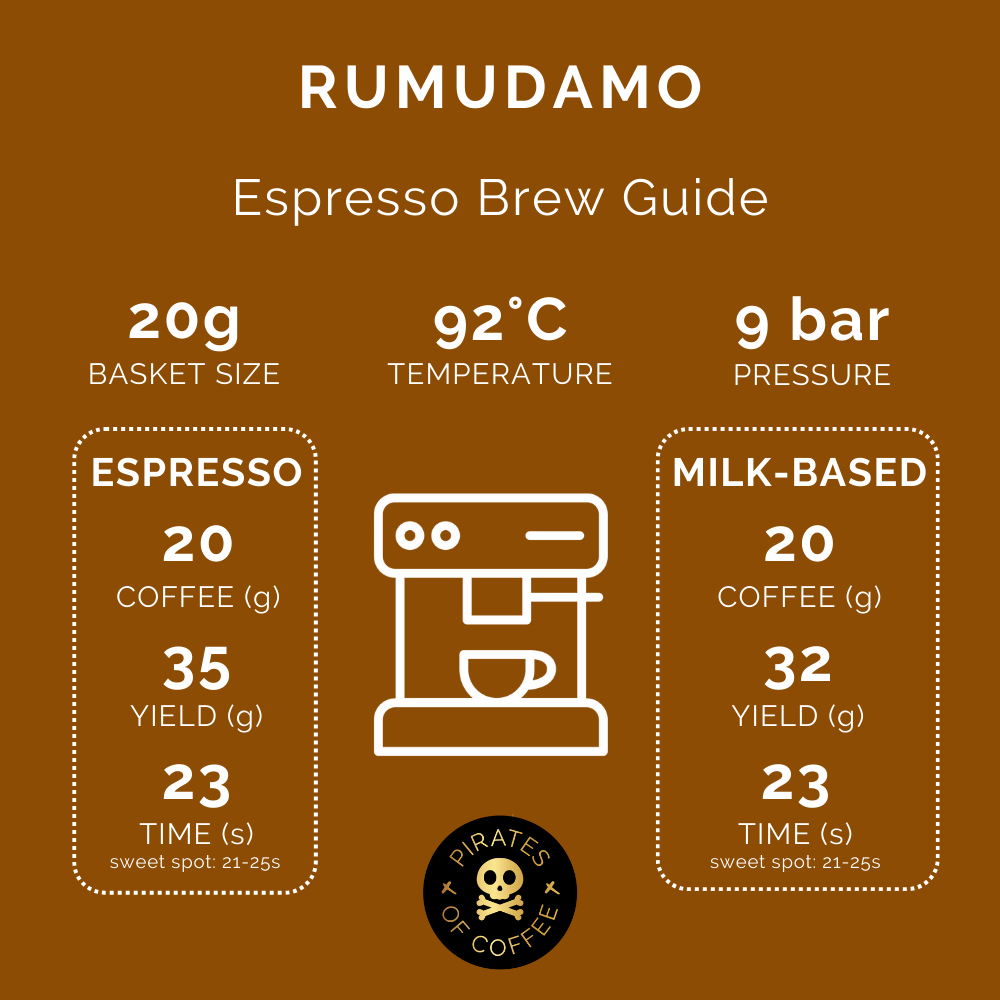 RUMUDAMO: Ethiopia Anaerobic Washed