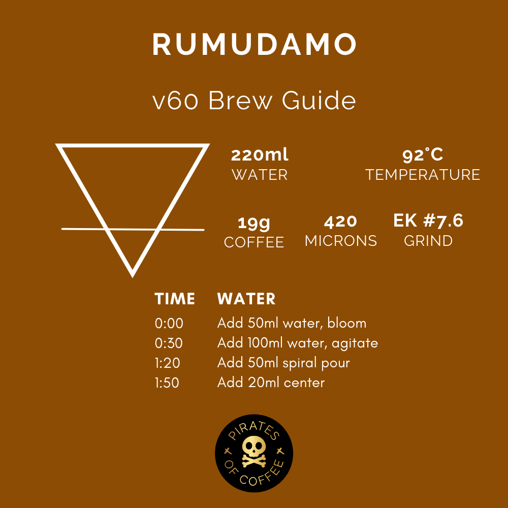RUMUDAMO: Ethiopia Anaerobic Washed