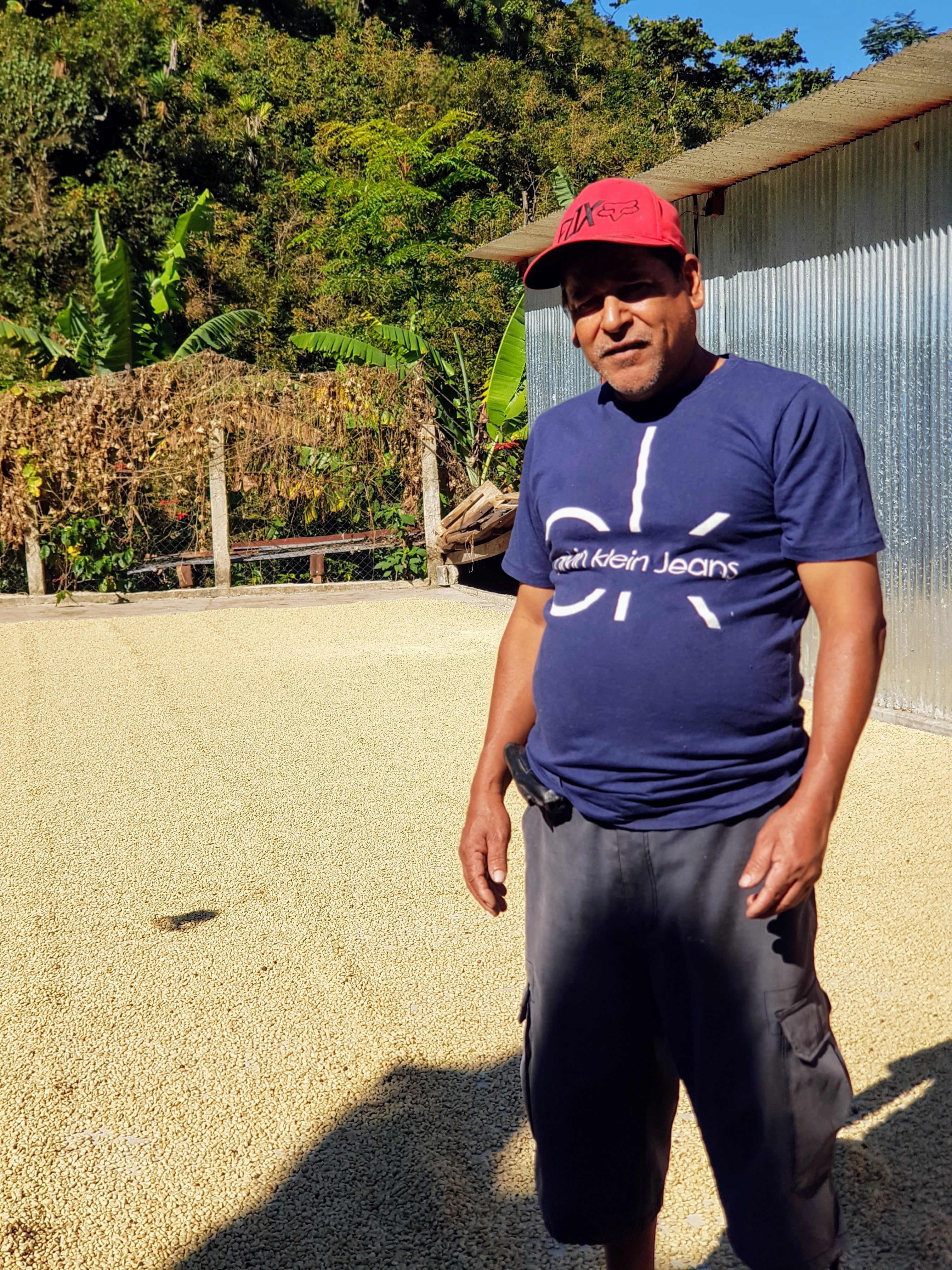 HUE HUE: Guatemala Washed