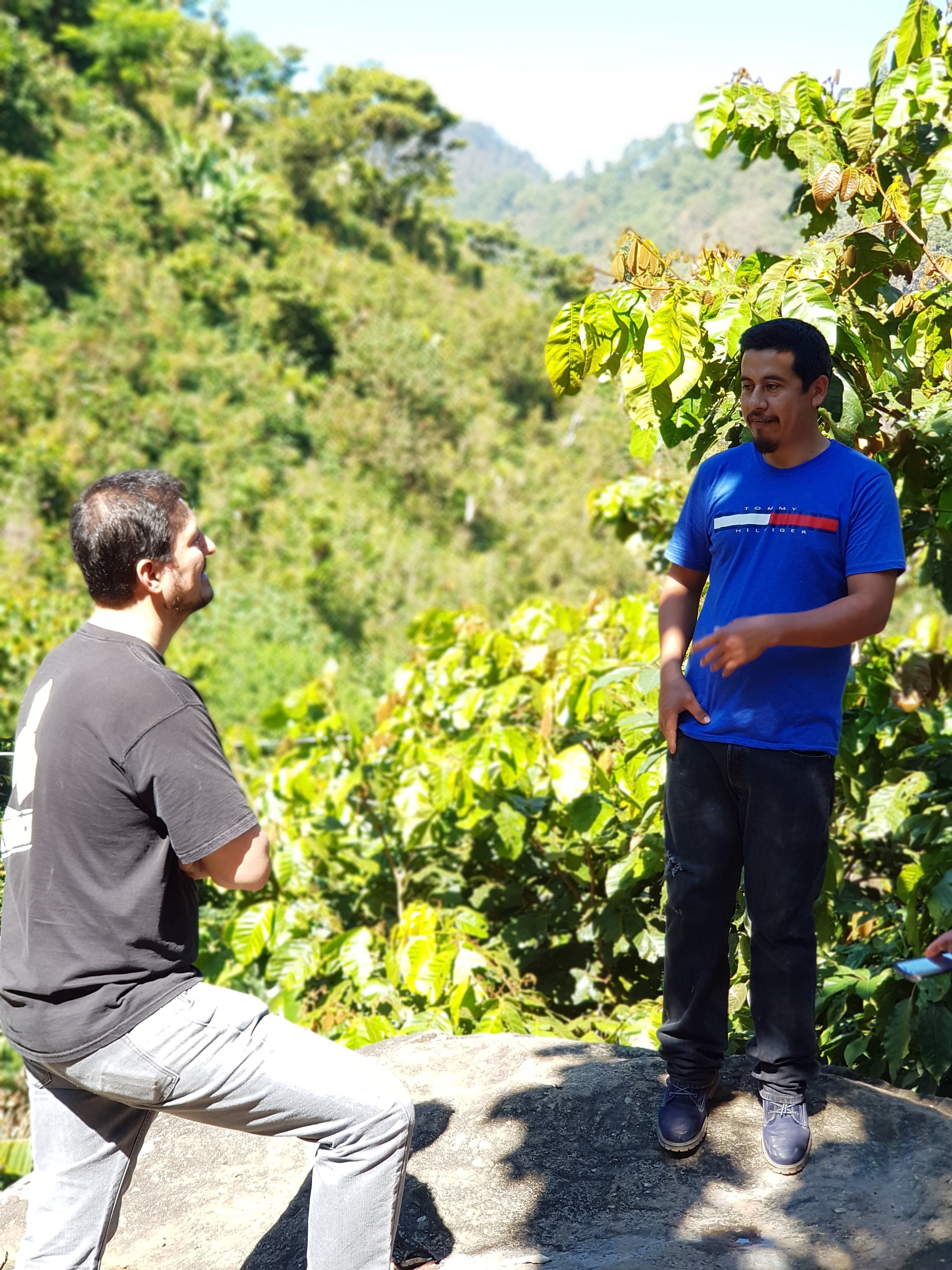 HUE HUE: Guatemala Washed