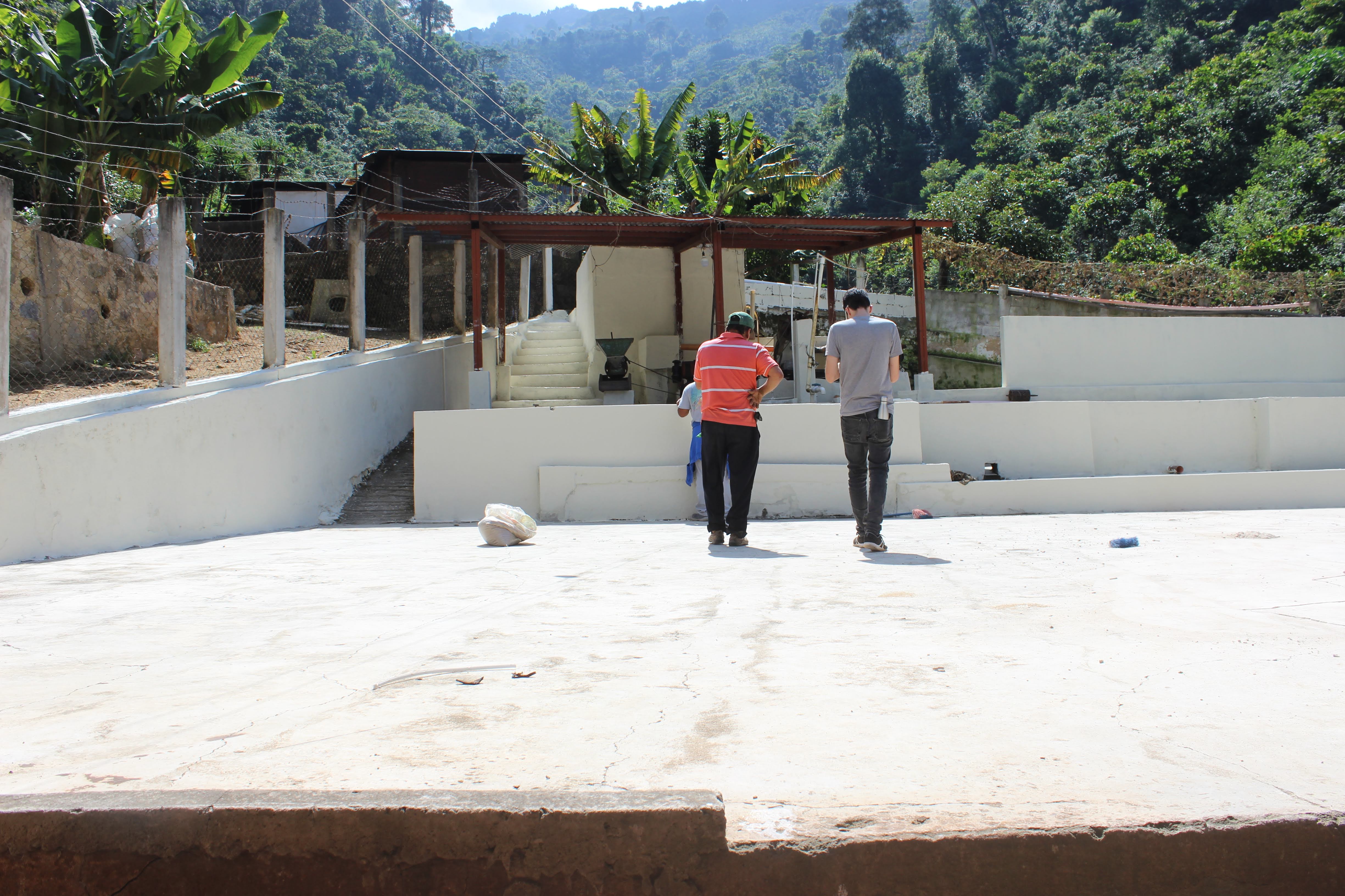 HUE HUE: Guatemala Washed