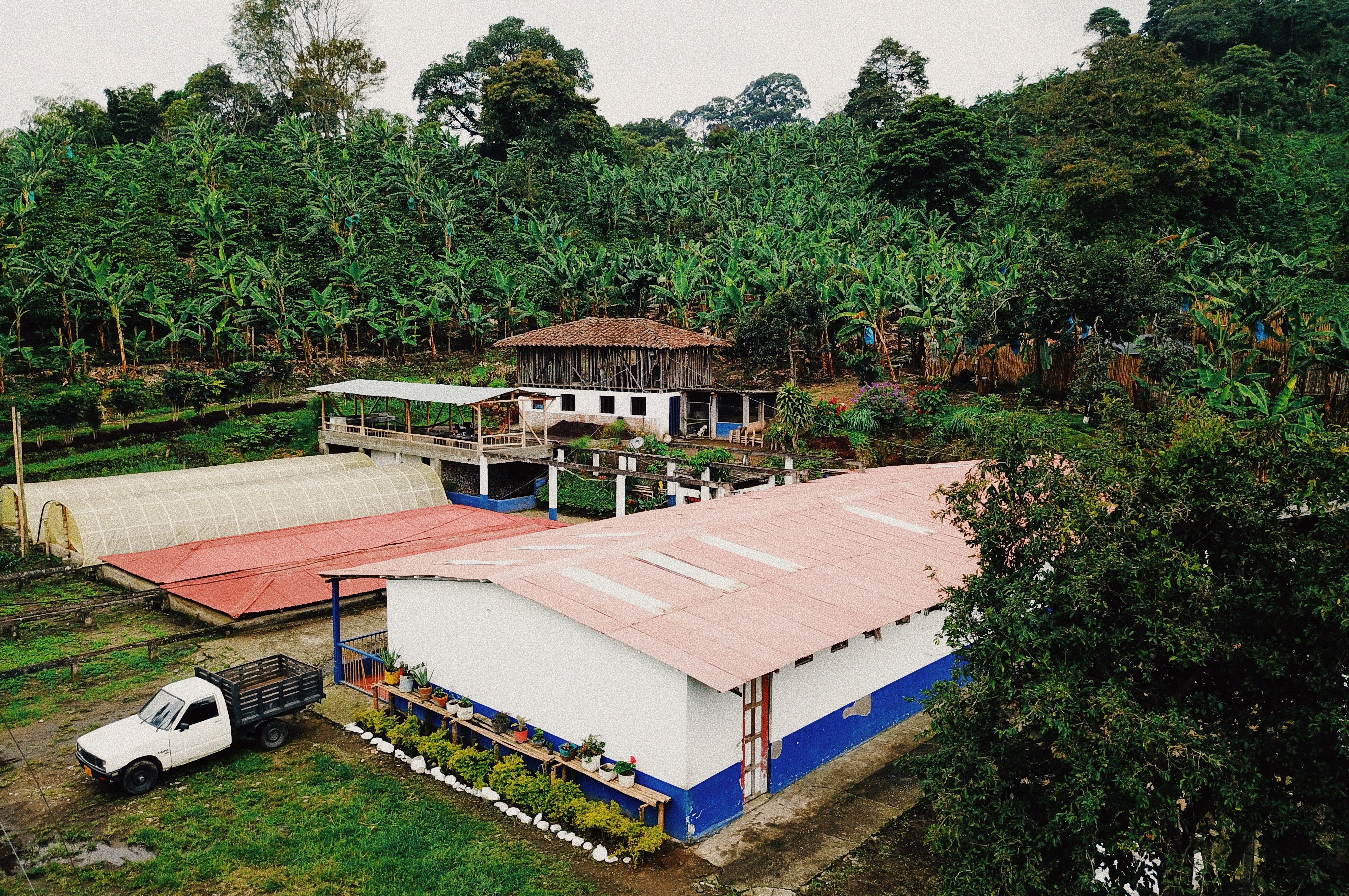 HADŌKEN: Colombia Anaerobic Honey
