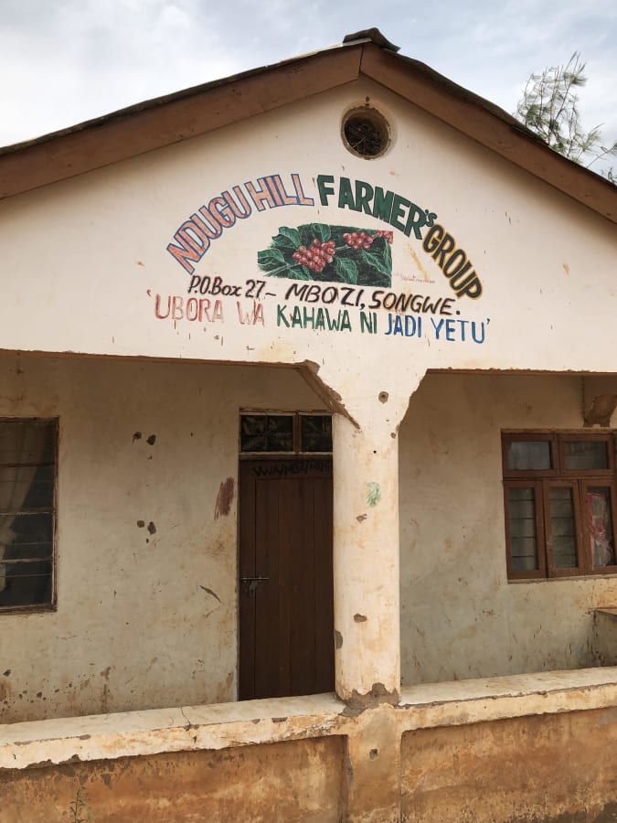 MASAI: Tanzania Peaberry Washed