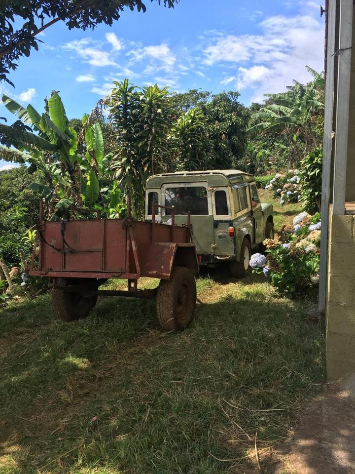 LAVA CAKE: Costa Rica, Honey Process