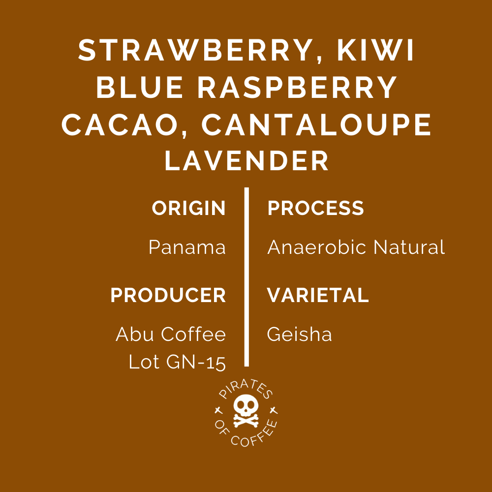 GN-15 GEISHA: Panama Anaerobic Natural