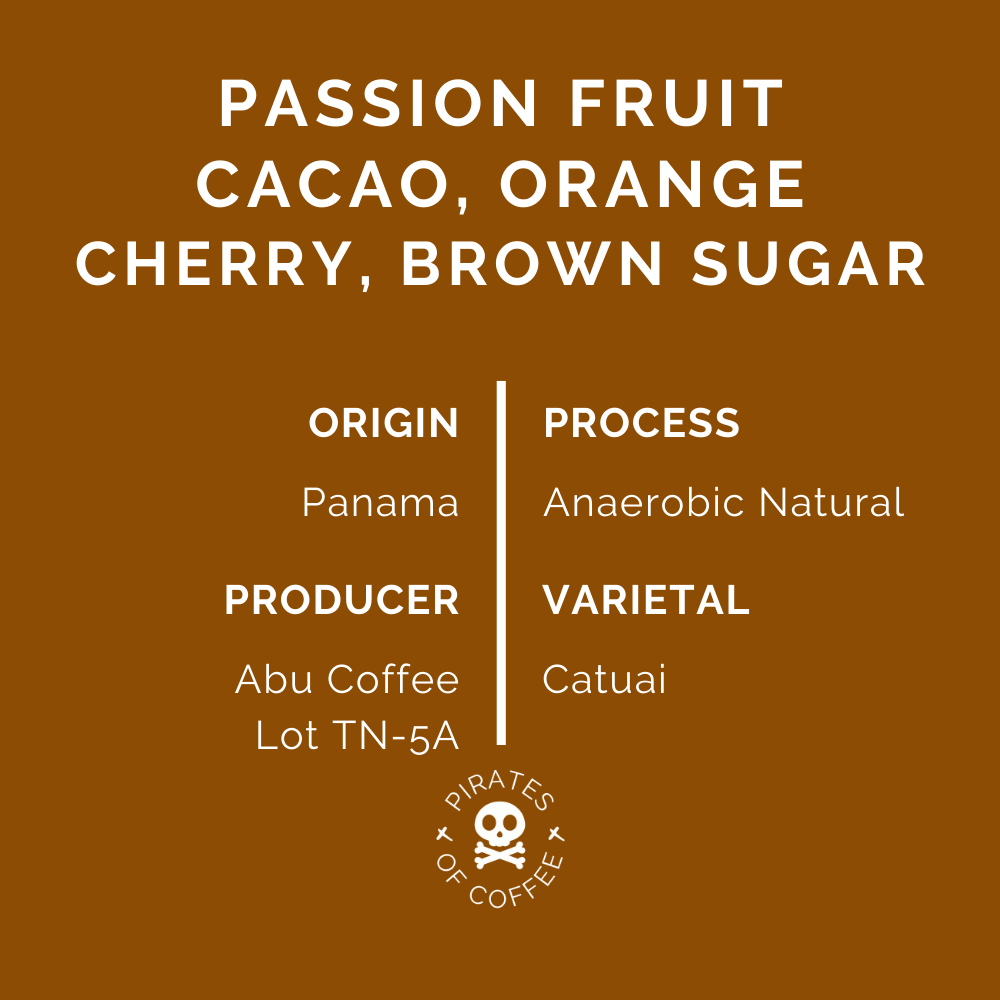 TN-5A: Panama Abu Coffee Catuai