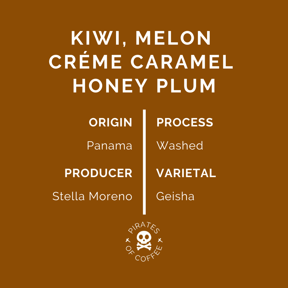 STELLAR AMBER GEISHA - Best of Panama 🏆