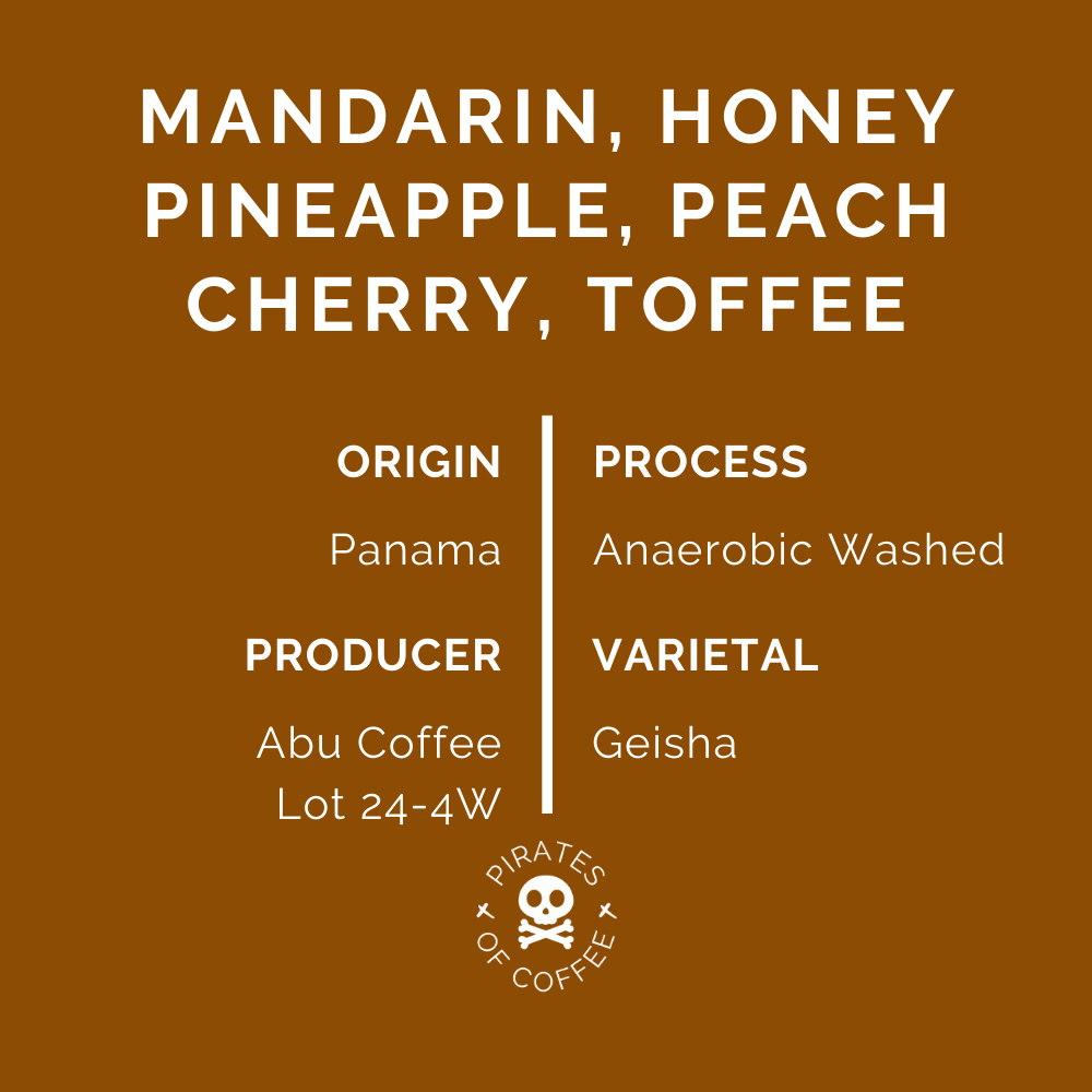 BXND GEISHA: Abu Coffee Panama Lot 24-4W (Anaerobic)
