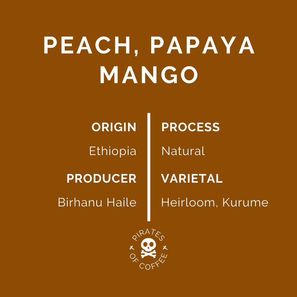 BIRHANU HAILE: Ethiopia Yirgacheffe