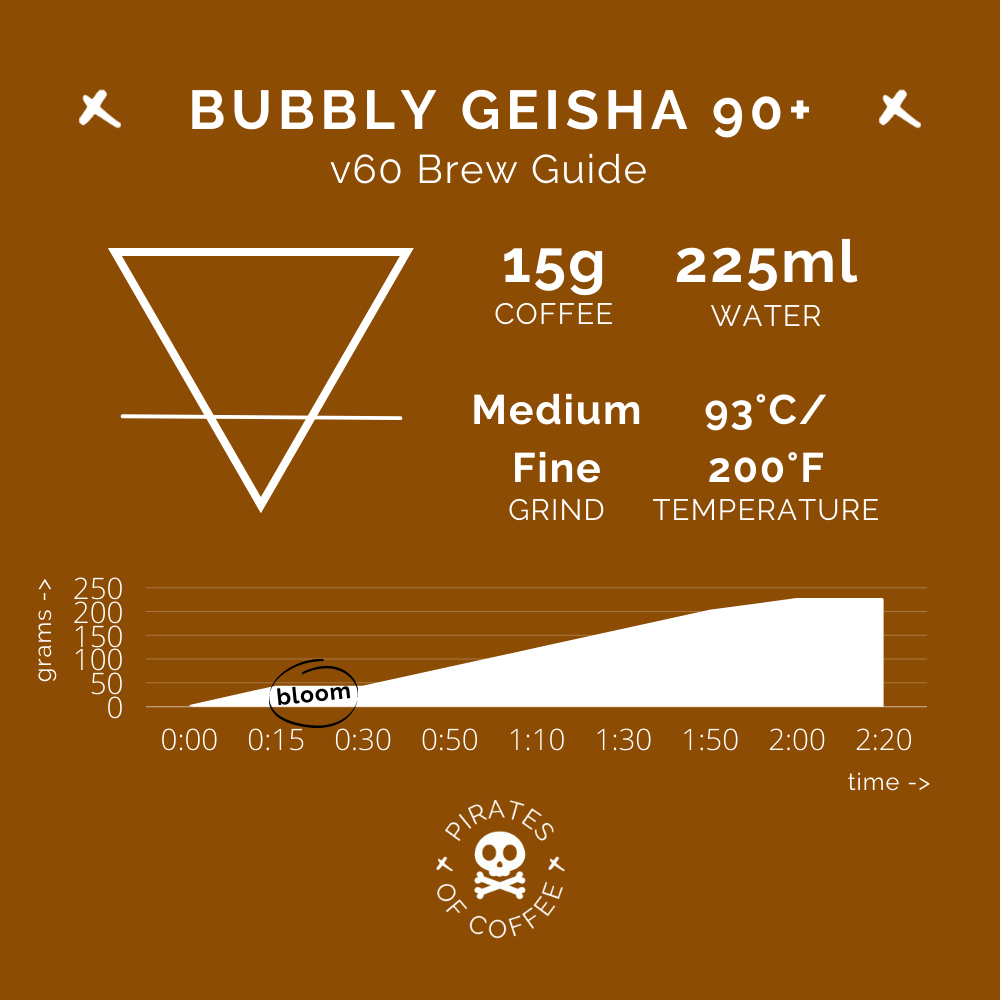 BUBBLY GEISHA 90+: Panama Anaerobic