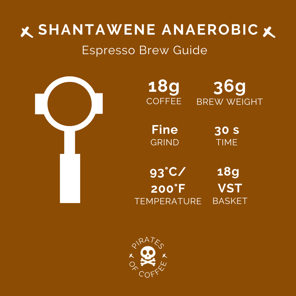 SHANTAWENE ANAEROBIC: Ethiopia Anaerobic Natural (2022)