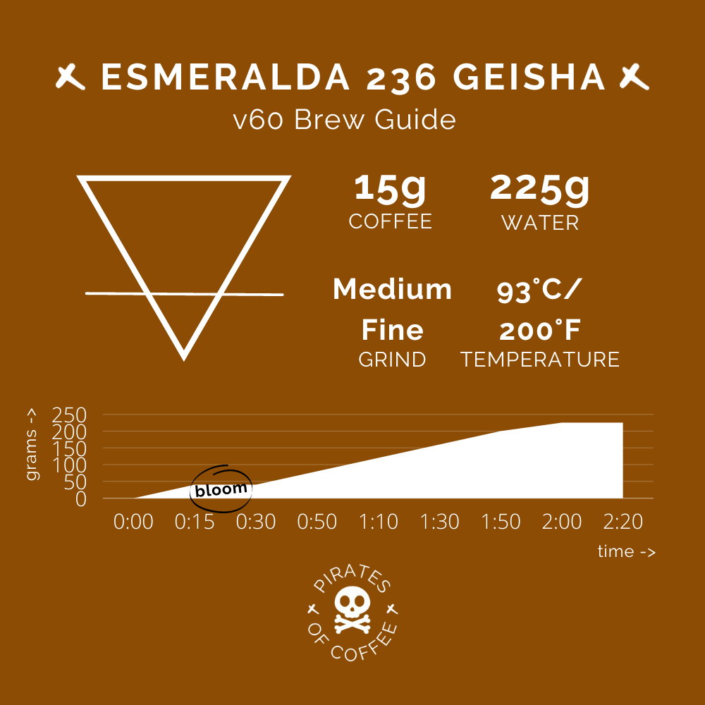 ESMERALDA 236 GEISHA: Panama Washed