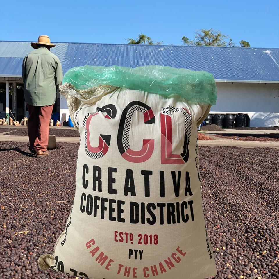 GUMMY PEAR: Panama Creativa Coffee District