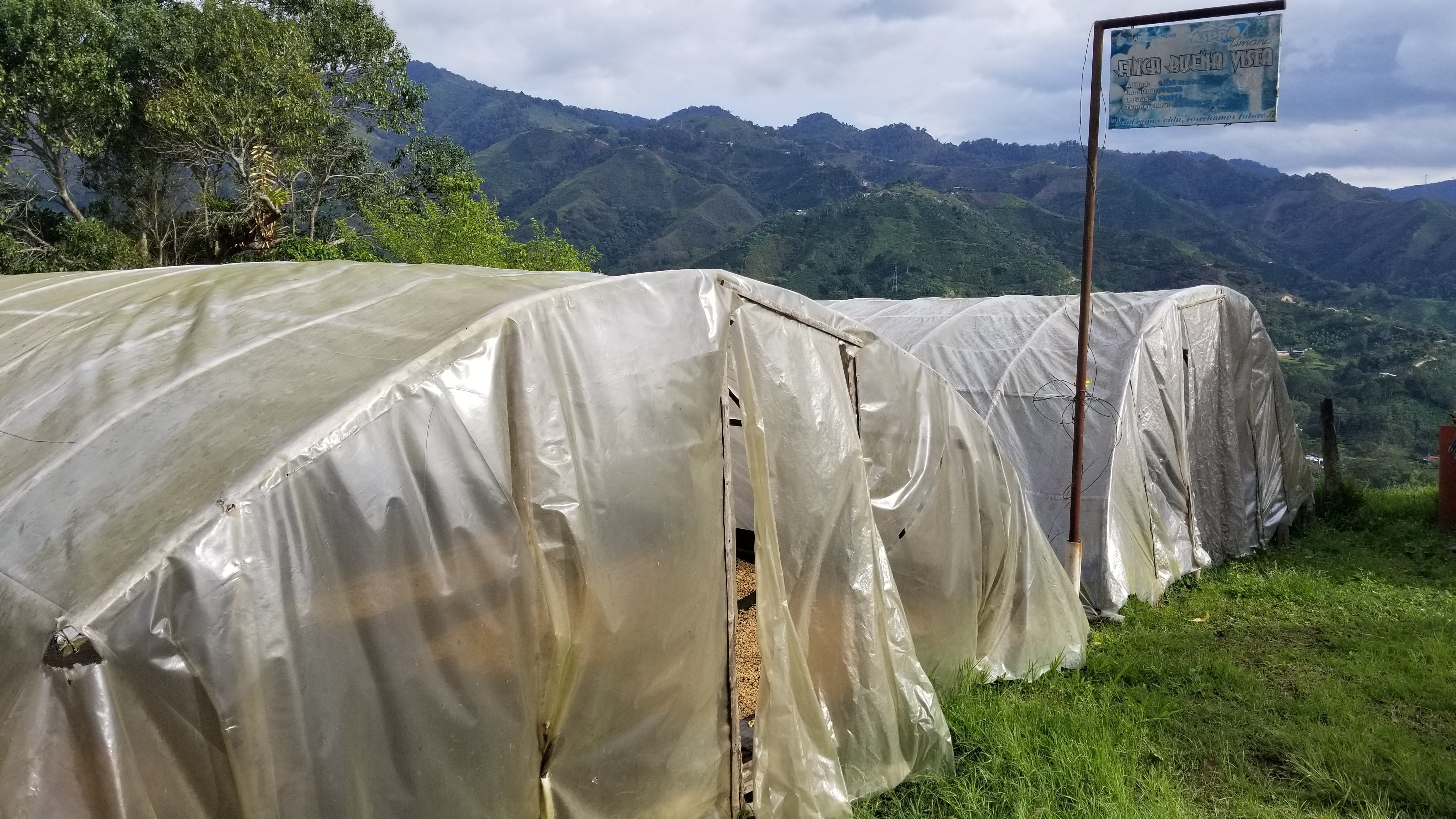 BROWNIE DECAF: Colombia Huila