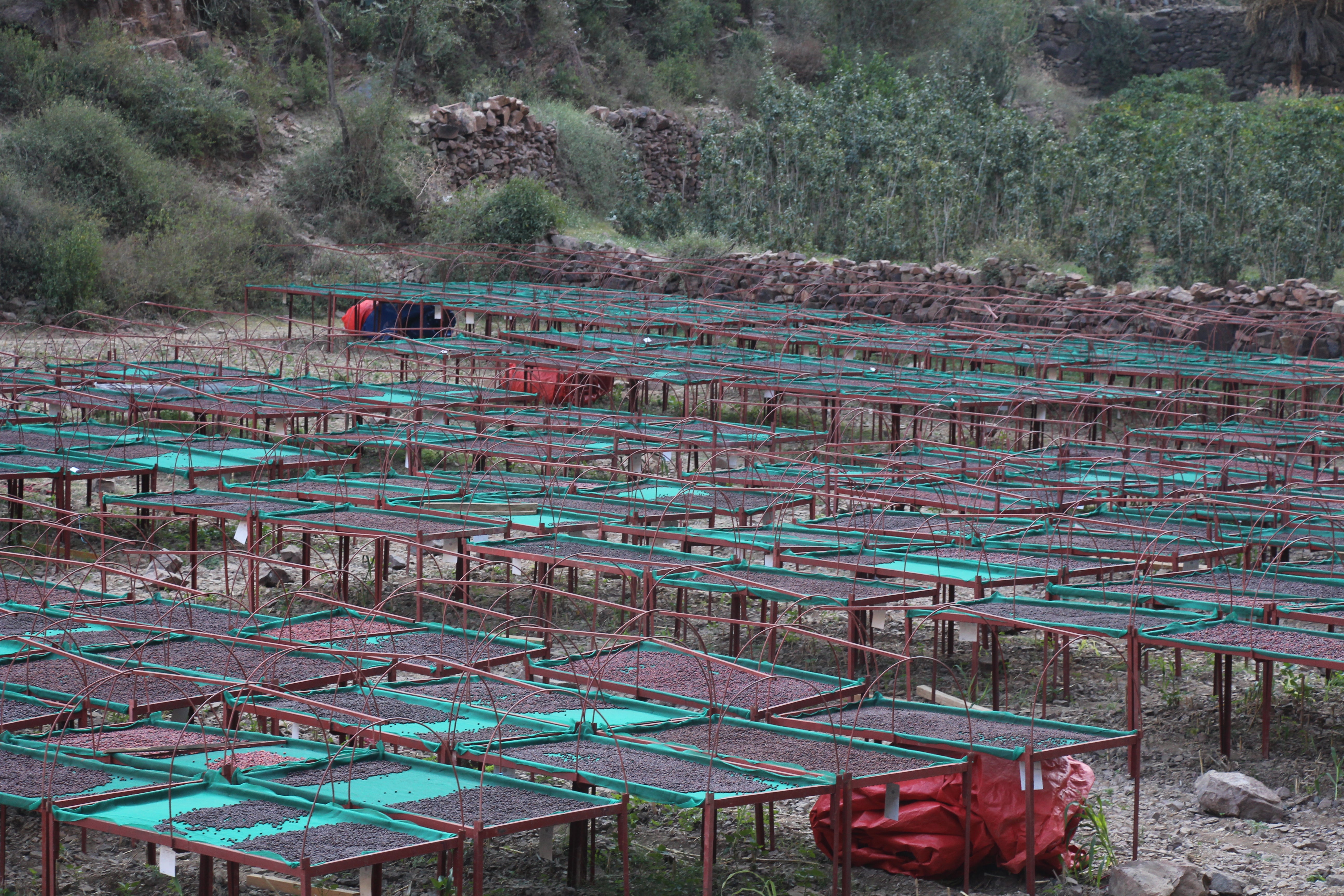 YEMEN SAGEER AL KHOULANI AA