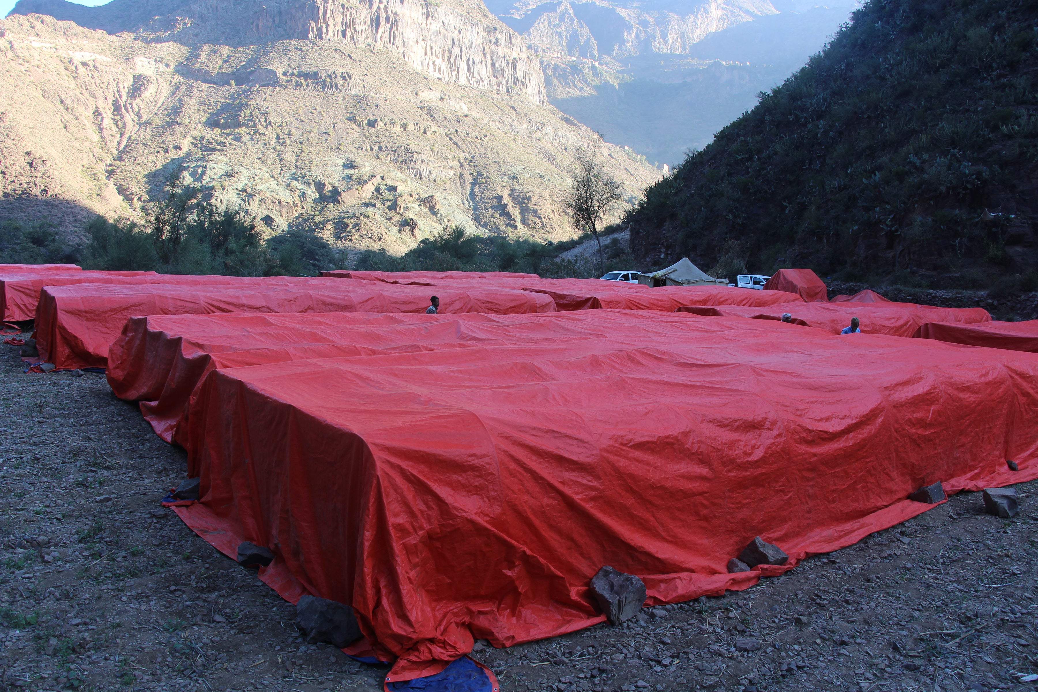 YEMEN HAYMA AA Anaerobic