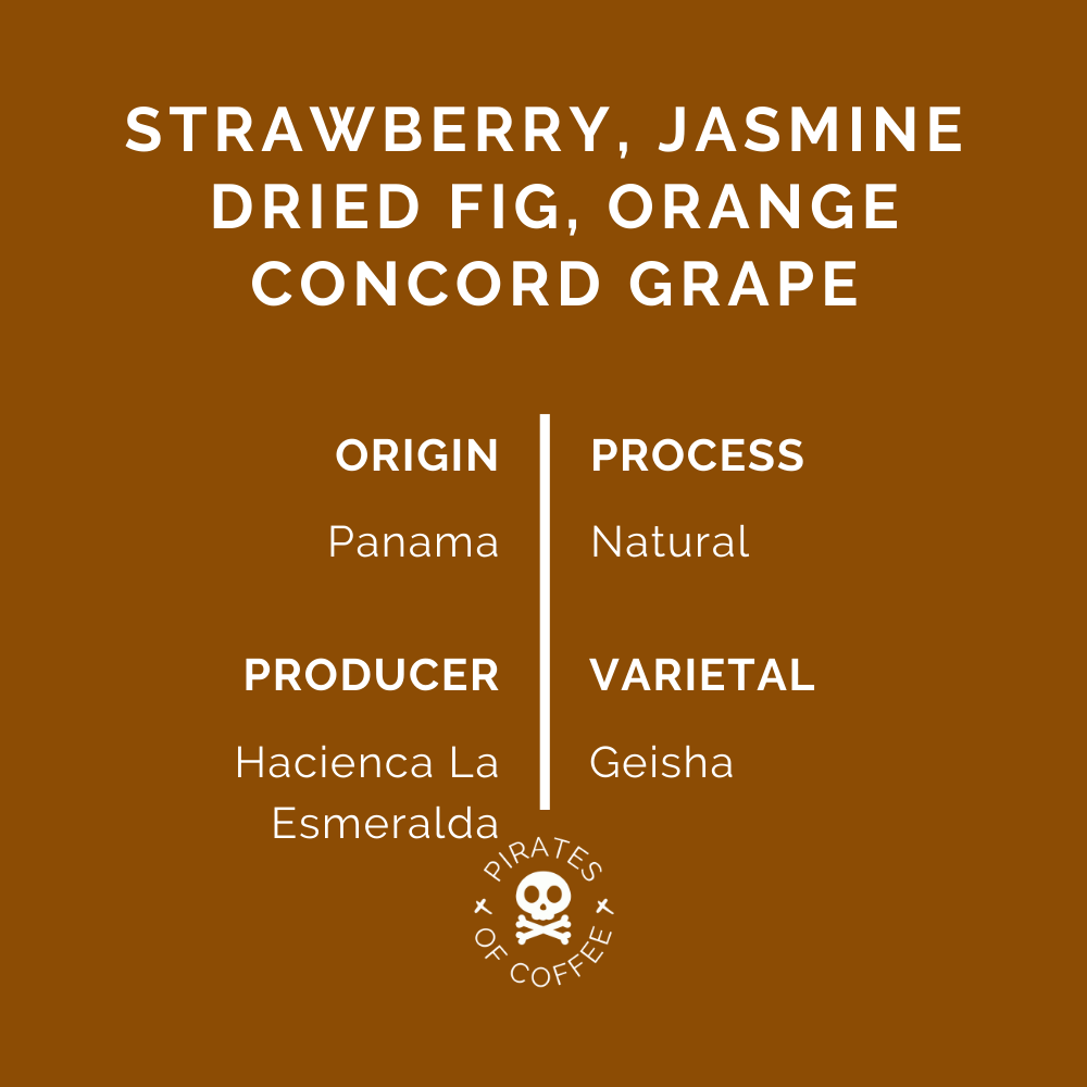 ESMERALDA 235 GEISHA: Panama Natural