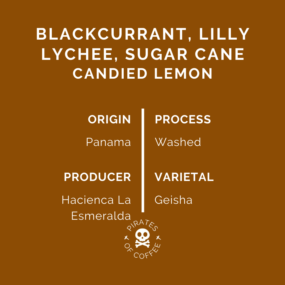 ESMERALDA 236 GEISHA: Panama Washed