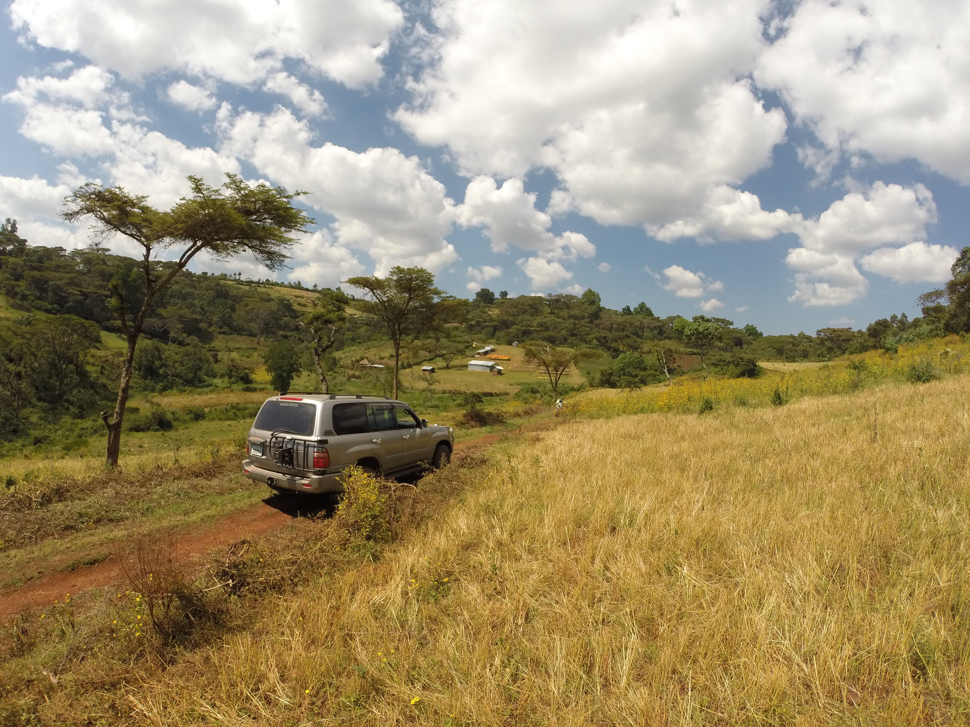 BIRHANU HAILE: Ethiopia Yirgacheffe