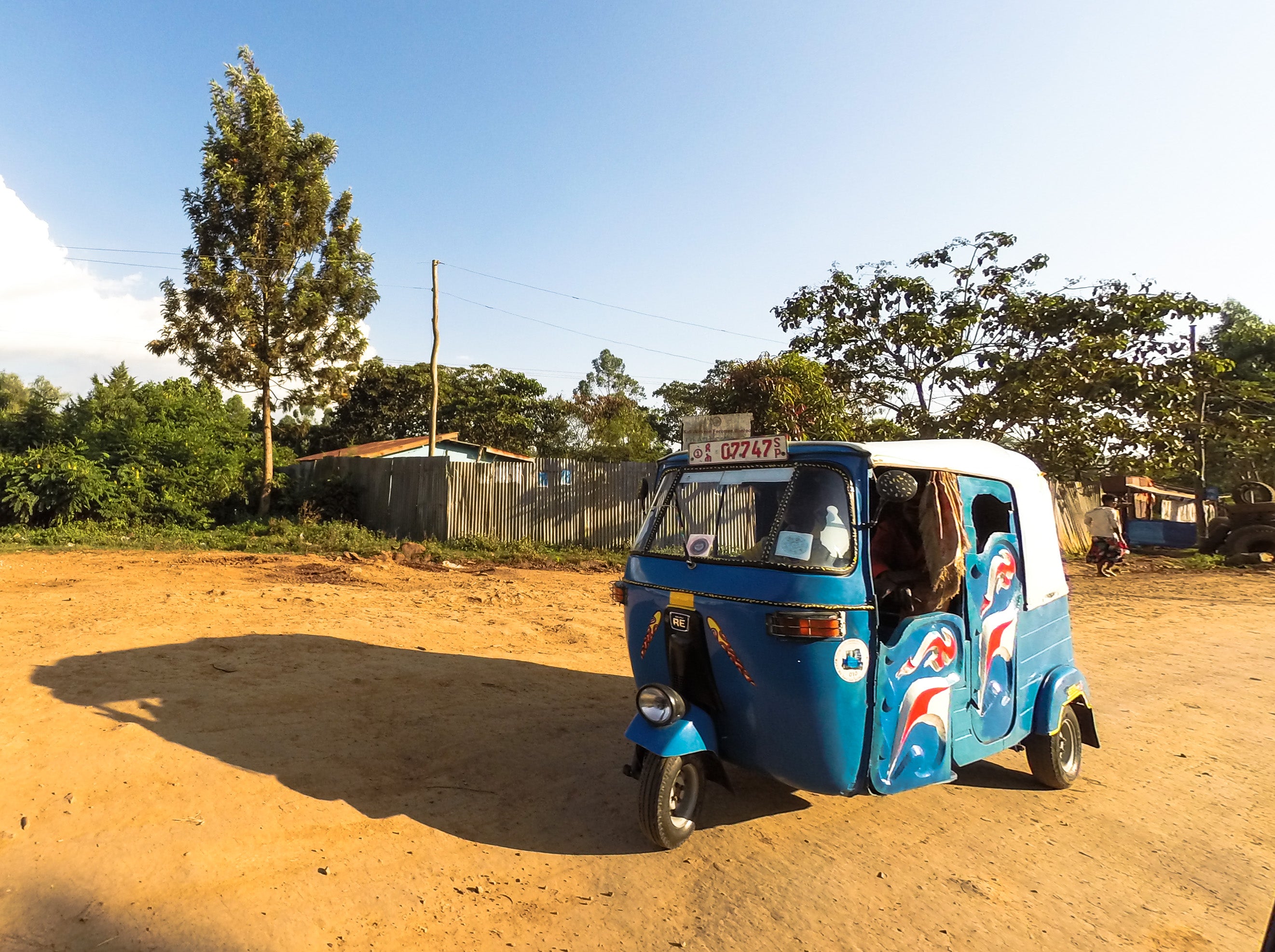 BIRHANU HAILE: Ethiopia Yirgacheffe