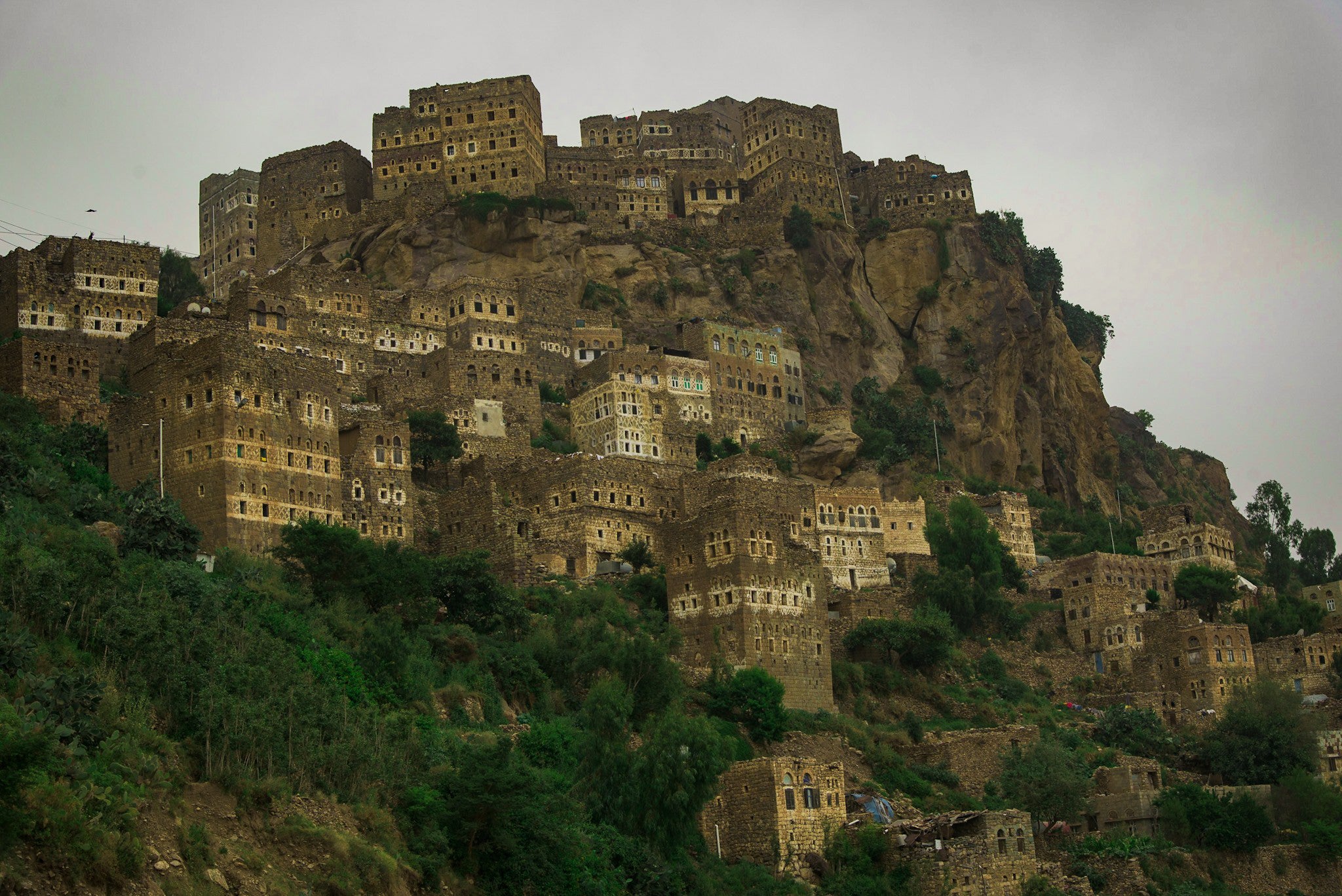 YEMEN HAYMA AA Anaerobic