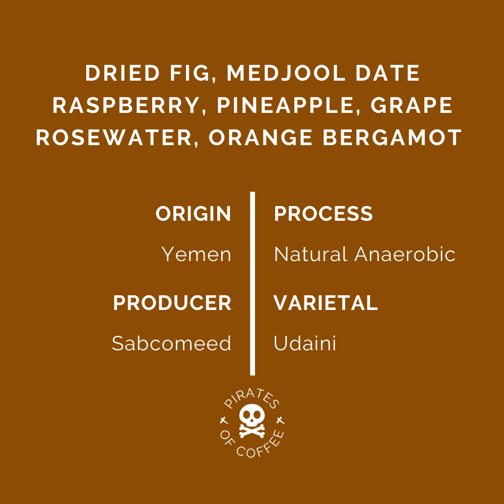 YEMEN HAYMA AA Anaerobic