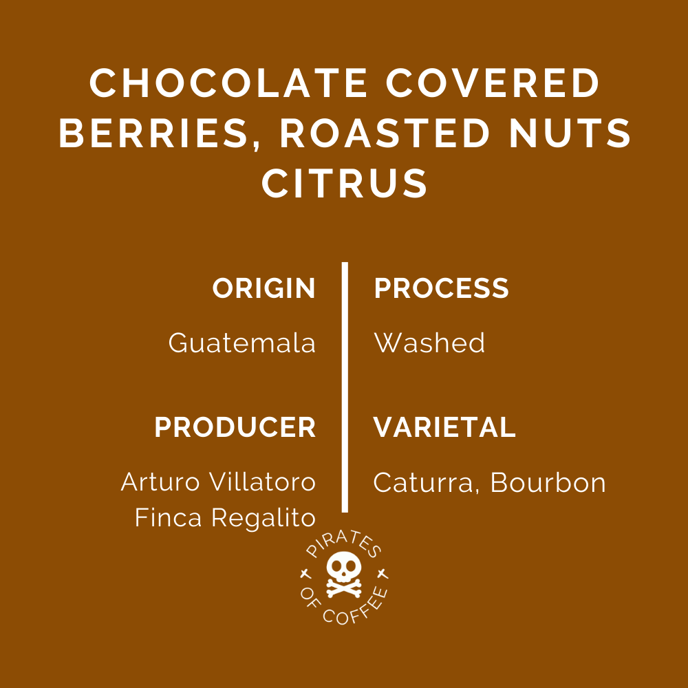 HUE HUE: Guatemala Washed