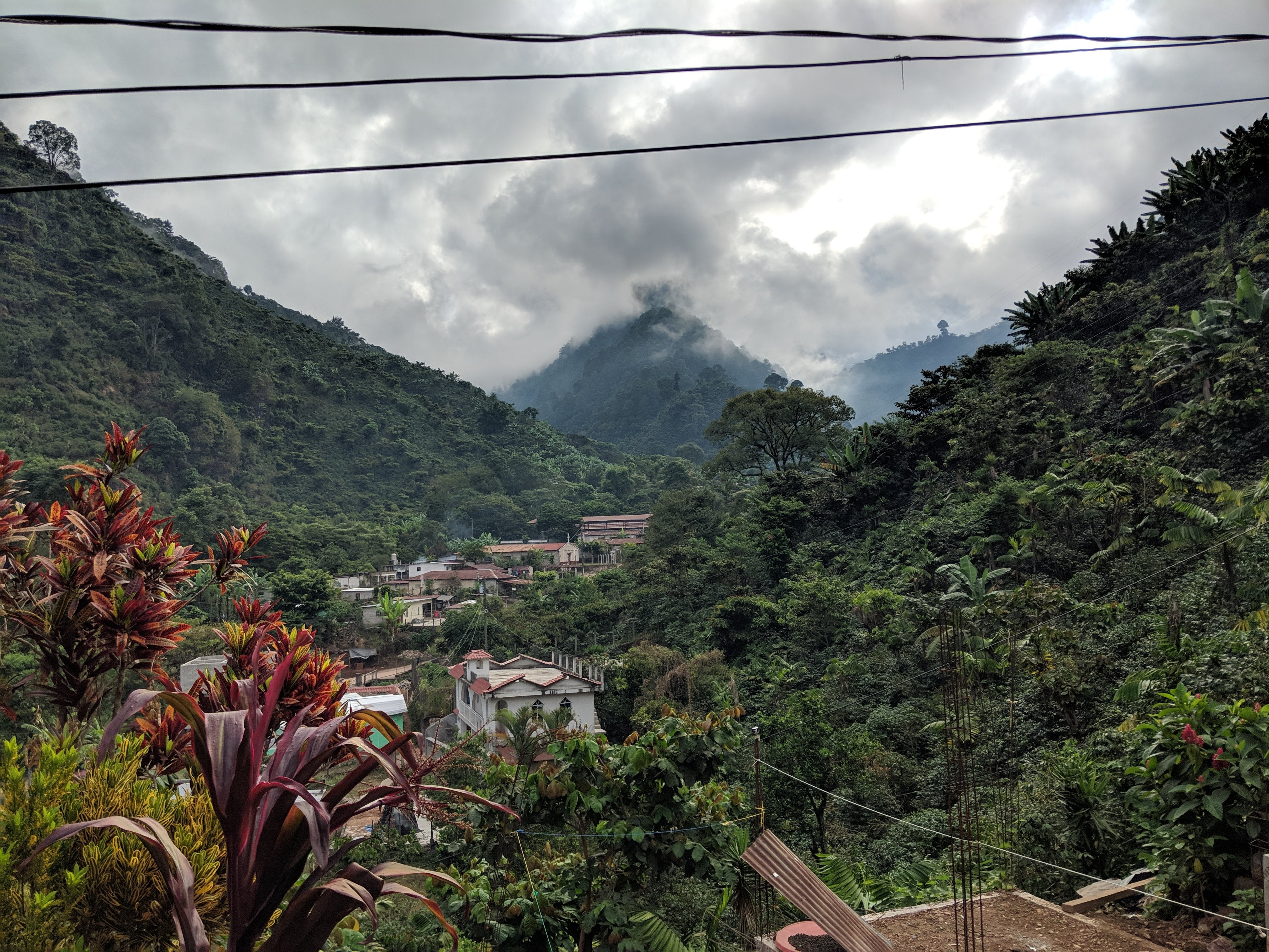 HUE HUE: Guatemala Washed