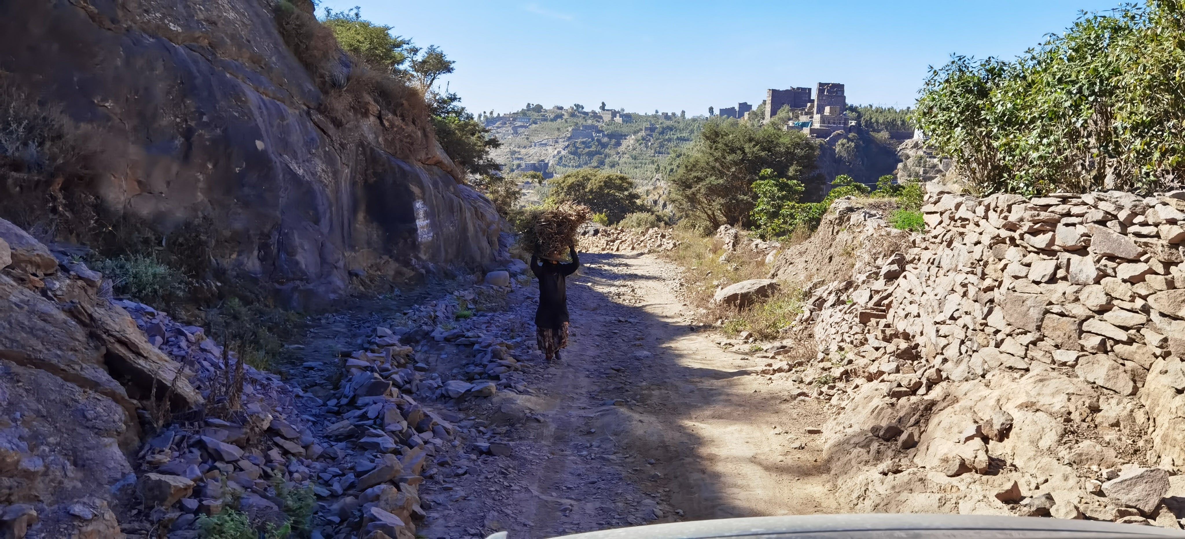 2022 PHILOSOPHY: Yemen Natural