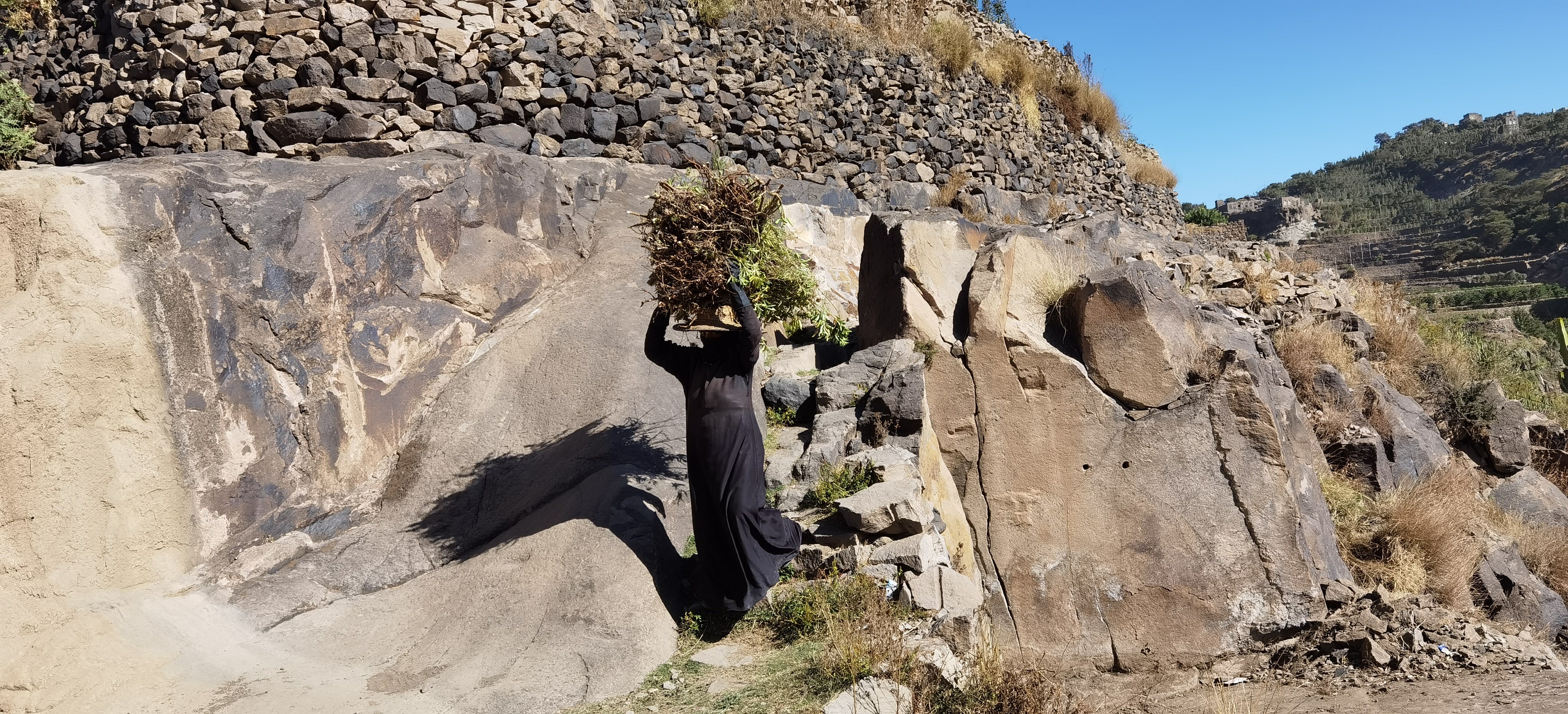 2022 PHILOSOPHY: Yemen Natural