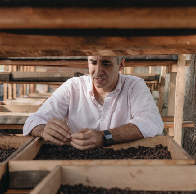 VERANILLO: Colombia Anaerobic Natural