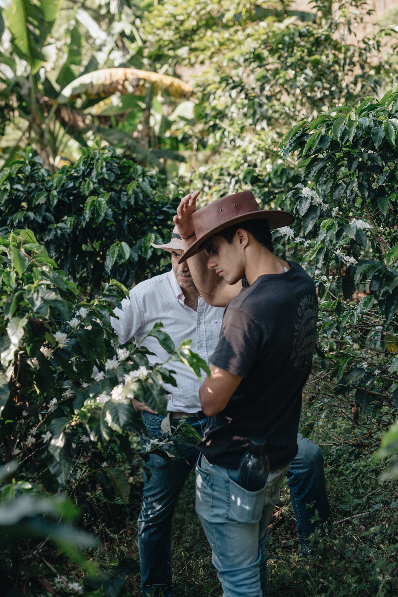 BUBBLY: Colombia Anaerobic Natural