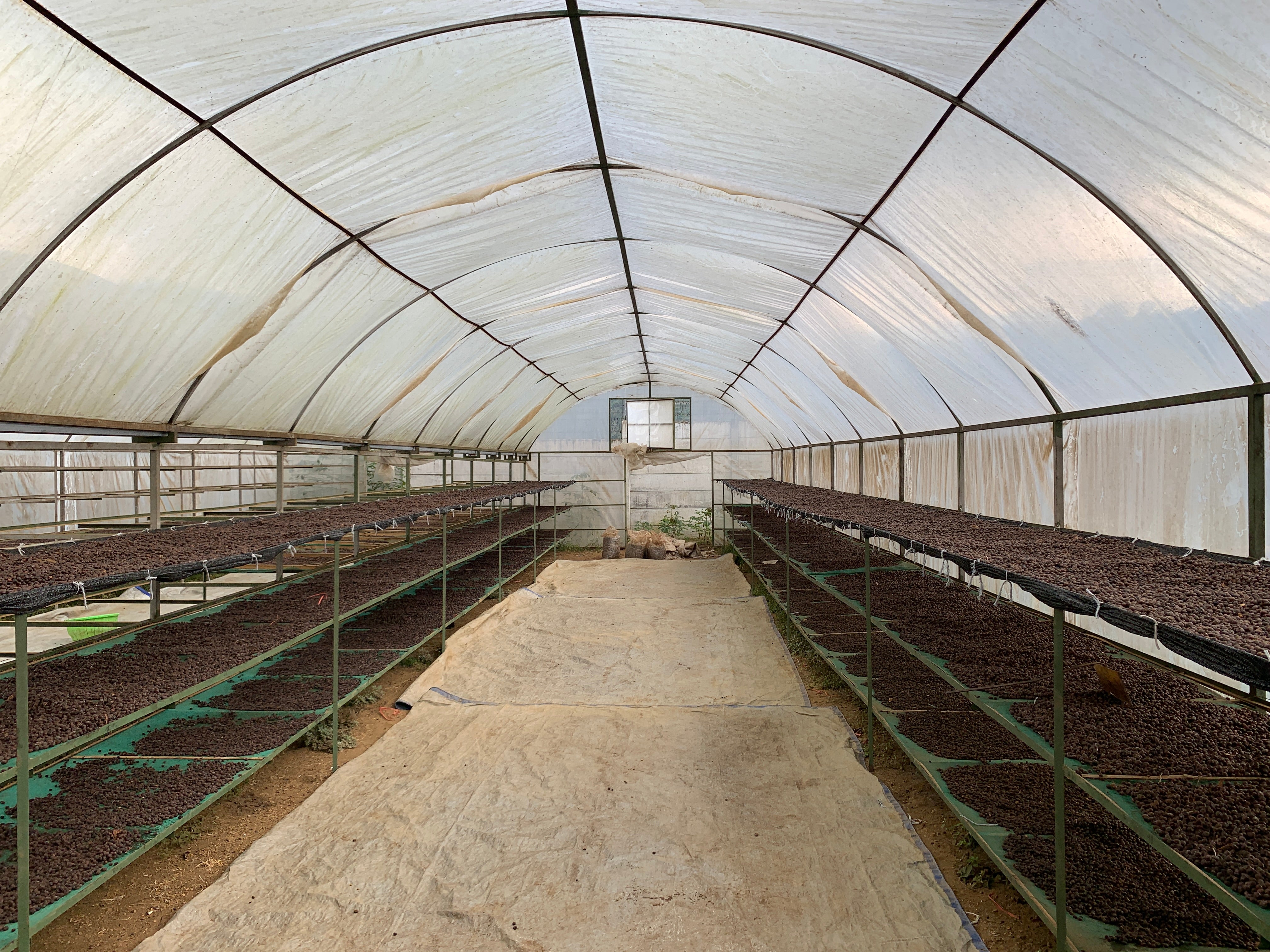 CIKOLE: Indonesia West Java Anaerobic