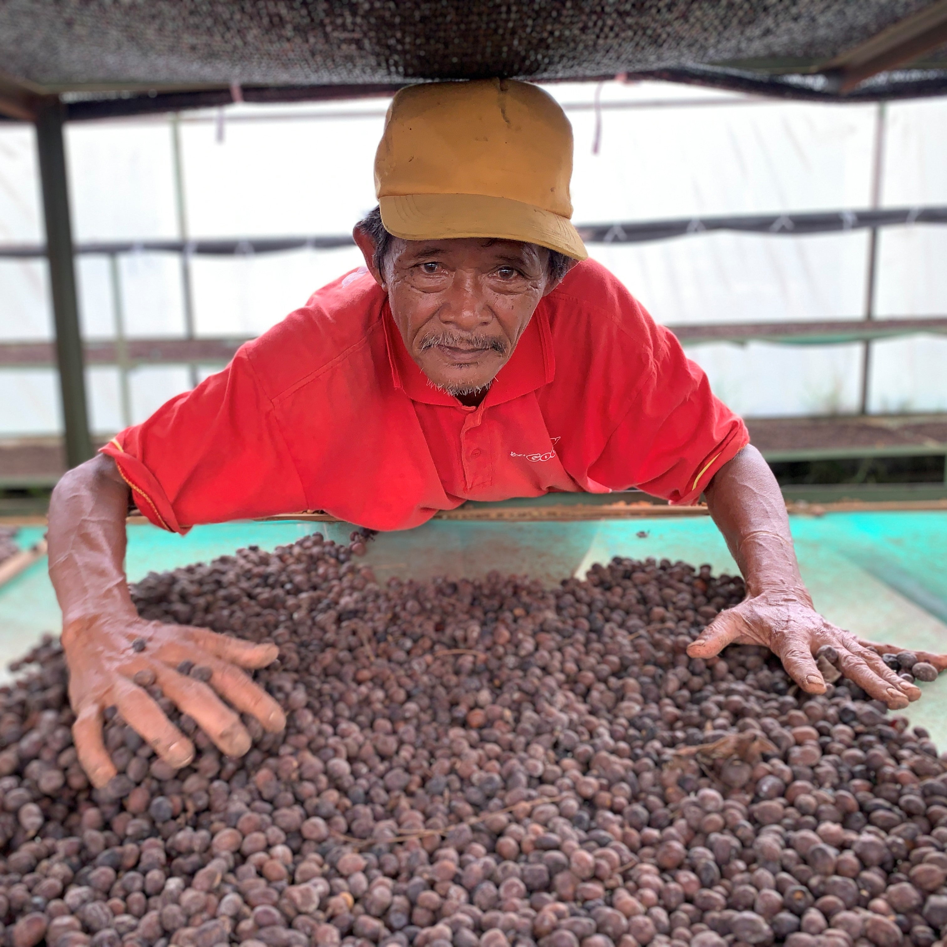 CIKOLE: Indonesia West Java Anaerobic