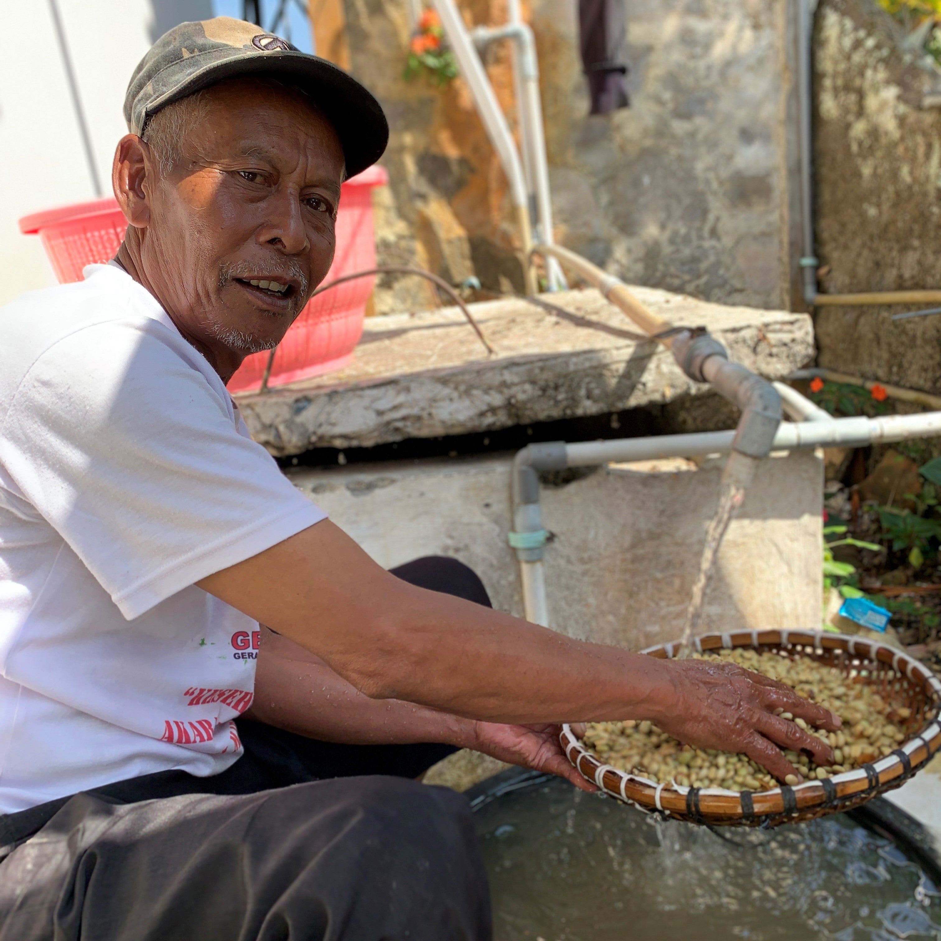 BANYAN TREE: Indonesia West Java Natural