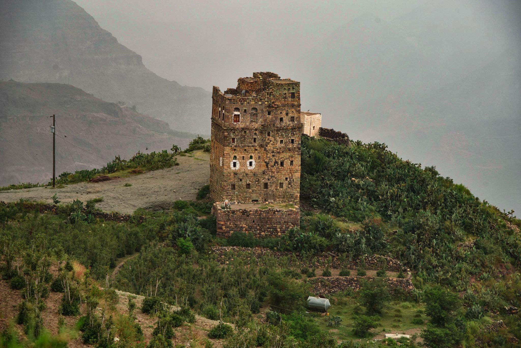 YEMEN HAYMA AA Anaerobic