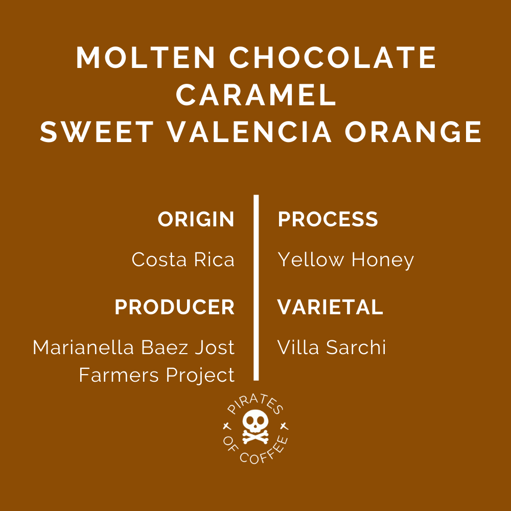 LAVA CAKE: Costa Rica, Honey Process