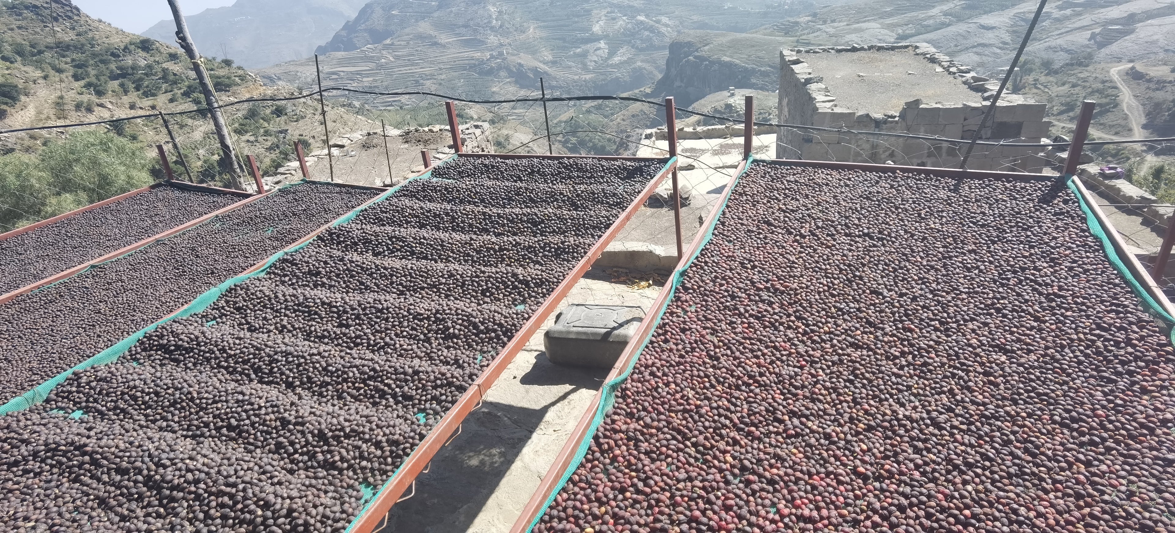 2022 PHILOSOPHY ANAEROBIC: Yemen Al-Sanaa