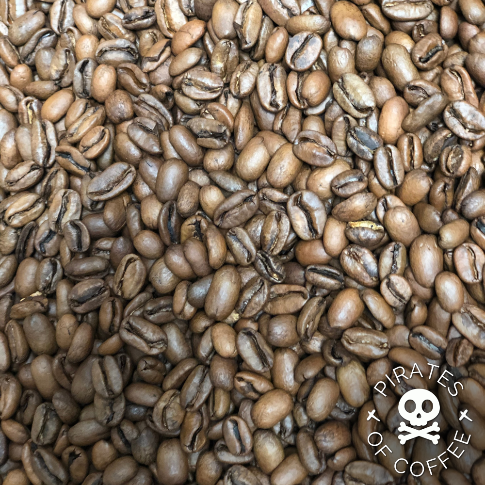 STELLAR AMBER GEISHA - Best of Panama 🏆