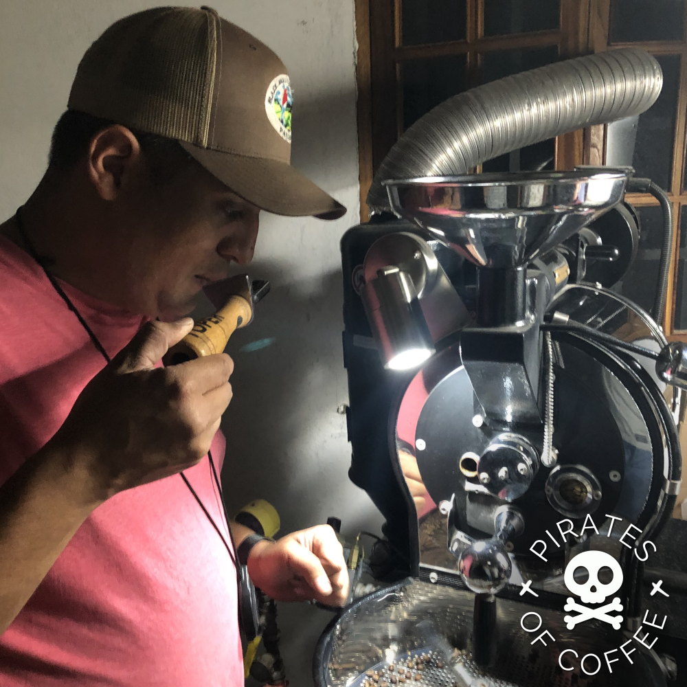 STELLAR AMBER GEISHA - Best of Panama 🏆