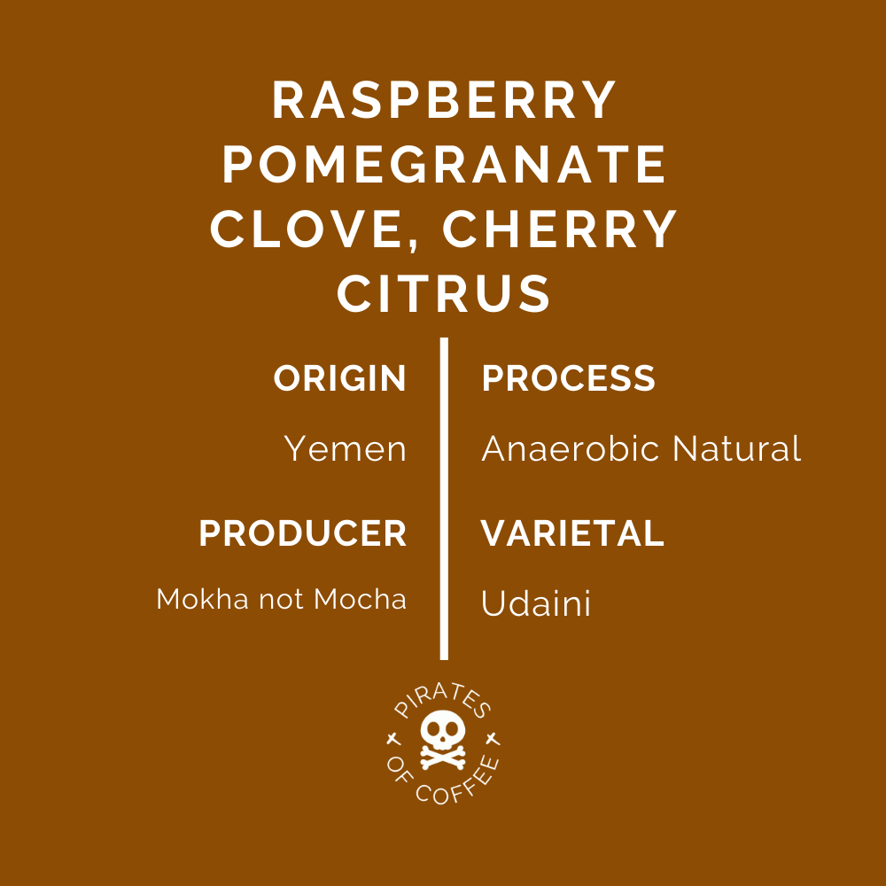 2022 PHILOSOPHY ANAEROBIC: Yemen Al-Sanaa