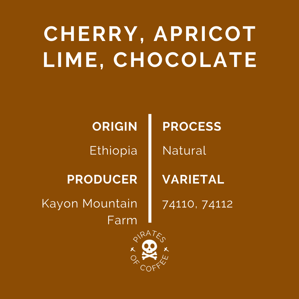 A FRUITY AFFAIR: Ethiopia Shakiso Guji