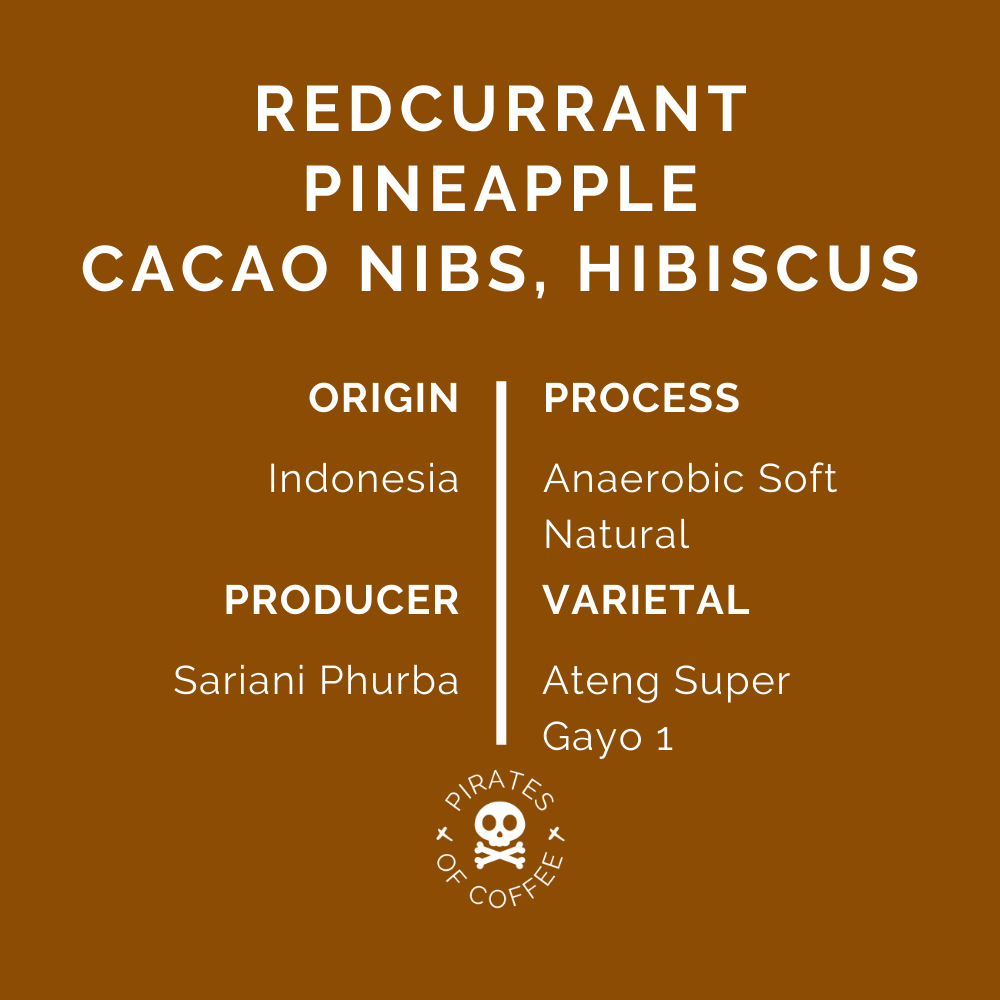 ROZÉ: Indonesia Anaerobic Soft Natural