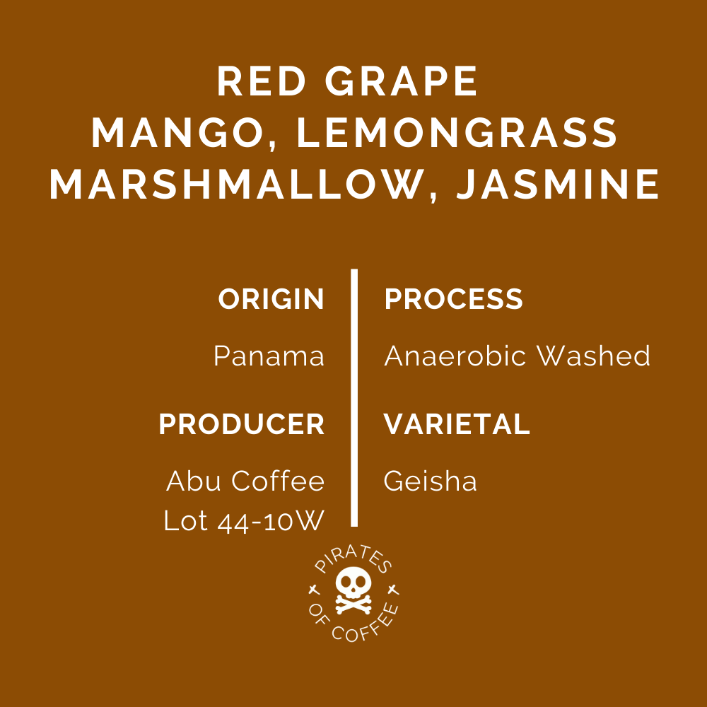 RED GEISHA: Abu Coffee Panama Lot 44-10W (Anaerobic)