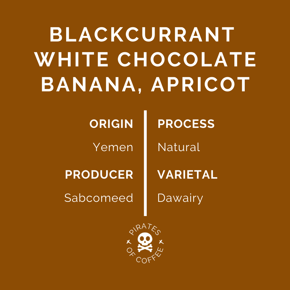 YEMEN SAGEER AL KHOULANI AA