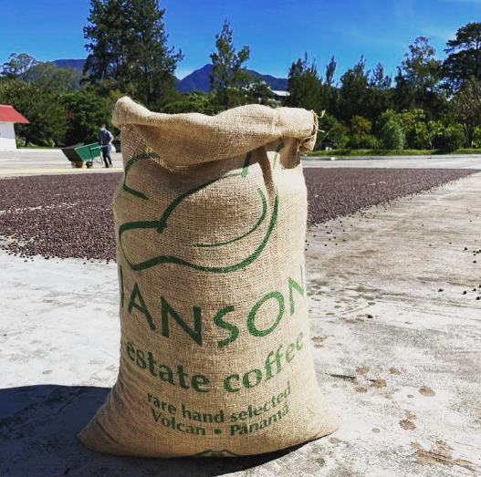 JANSON 940 GEISHA: Panama Washed