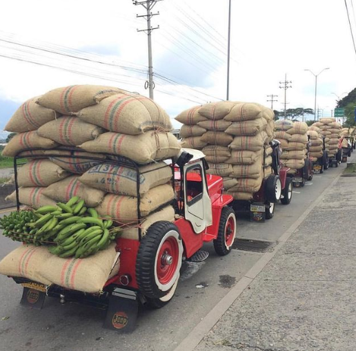 ACAI: Colombia Wush Wush CM