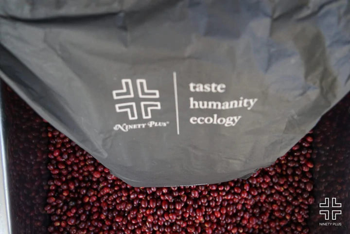 CHERRY COLA GEISHA 90+: Panama Anaerobic